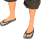 Painted Flip-Flops 384248.png