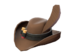 Item icon Slo-Poke.png