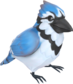 Painted Catcher's Companion 694D3A BLU.png
