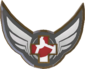 Painted Tournament Medal - RGL.gg Highlander B8383B Open Division.png