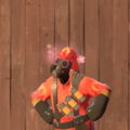 Unusual Perennial Petals.png