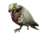 Archimedes the Undying