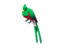 Item icon Quizzical Quetzal.png