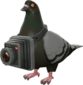 Painted Bird's Eye Viewer 2D2D24.png
