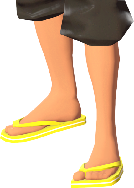 File:Flip-Flops.png