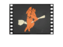 Zoomin' Broom