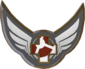 Painted Tournament Medal - RGL.gg Highlander 803020 Open Division.png