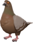 Painted Bird's Eye Viewer 694D3A Civilian.png