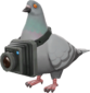 Painted Bird's Eye Viewer 7E7E7E BLU.png