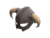 Dragonborn Helmet