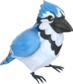 Painted Catcher's Companion 5885A2.png