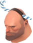 Painted Brain Cane 5885A2.png