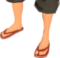 Painted Flip-Flops 803020.png