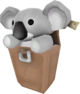 Koala Compact Poor and Irish.png