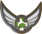 Painted Tournament Medal - RGL.gg Highlander 729E42 Open Division.png