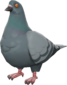 Painted Bird's Eye Viewer UNPAINTED Civilian.png