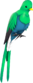Painted Quizzical Quetzal 256D8D.png