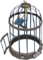 Painted Bolted Birdcage 28394D.png