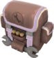 Painted Winter Backup D8BED8.png