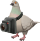 Painted Bird's Eye Viewer A89A8C.png